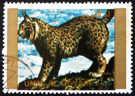UMM AL-QUWAIN - CIRCA 1972: a stamp printed in the Umm al-Quwain shows Lynx, Animal, circa 1972のeditorial素材