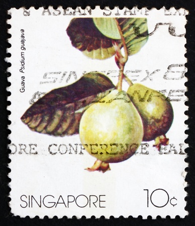SINGAPORE - CIRCA 1986: a stamp printed in the Singapore shows Guava Fruit, Psidium Guajava, circa 1986のeditorial素材