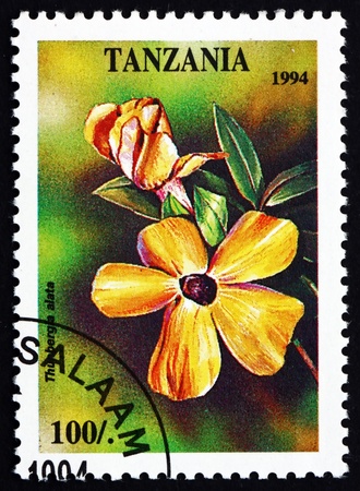TANZANIA - CIRCA 1994: a stamp printed in the Tanzania shows Black-eyed Susan Vine, Thunbergia Alata, Plant, circa 1994のeditorial素材