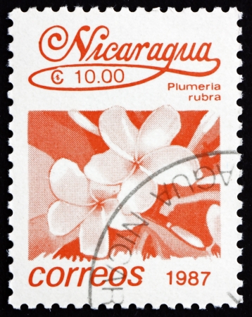 NICARAGUA - CIRCA 1987: a stamp printed in Nicaragua shows Plumeria Rubra, Tree, Flower, circa 1987のeditorial素材