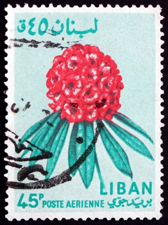 LEBANON - CIRCA 1964: a stamp printed in the Lebanon shows Rhododendron, Flower, circa 1964のeditorial素材