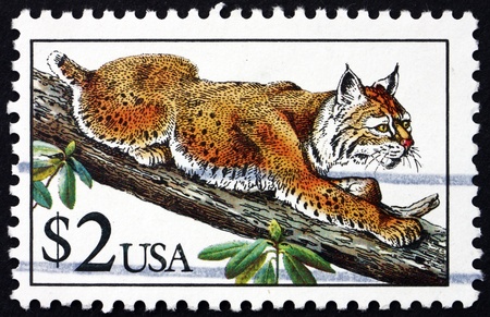 UNITED STATES OF AMERICA - CIRCA 1990: a stamp printed in the USA shows Bobcat, Lynx Rufus, Cat, circa 1990のeditorial素材