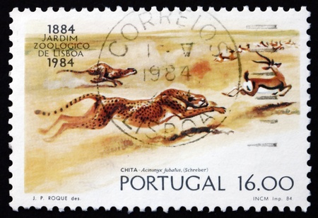 PORTUGAL - CIRCA 1984: a stamp printed in the Portugal shows Cheetahs, Acinonyx Jubatus, Lisbon Zoo Centenary, circa 1984のeditorial素材