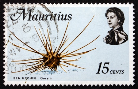 MAURITIUS - CIRCA 1969: a stamp printed in the Mauritius shows Sea Urchin, Echinoidea, Animal, circa 1969のeditorial素材