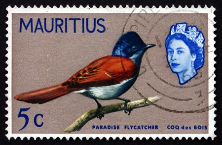 MAURITIUS - CIRCA 1965: a stamp printed in the Mauritius shows Mauritius Paradise Flycatcher, Terpsiphone Bourbonnensis, Bird, circa 1965のeditorial素材
