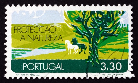PORTUGAL - CIRCA 1971: a stamp printed in the Portugal shows Nature Conservation, Earth, circa 1971のeditorial素材
