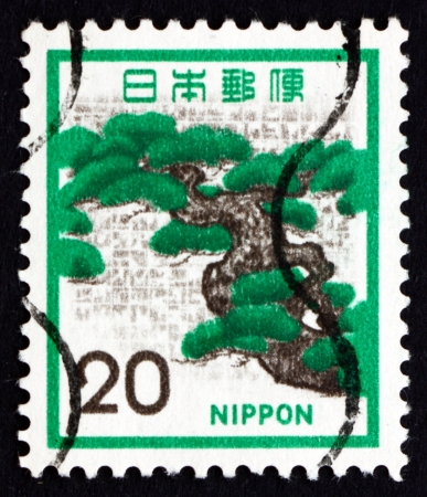 JAPAN - CIRCA 1972: a stamp printed in the Japan shows Pine, Tree, Pinus, circa 1972のeditorial素材