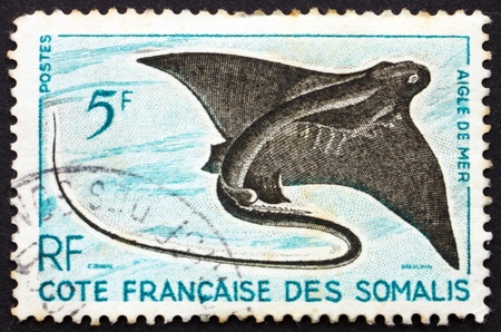 SOMALI COAST - CIRCA 1927: a stamp printed in the Somali Coast shows Eagle Ray, Myliobatidae, Fish, circa 1927のeditorial素材