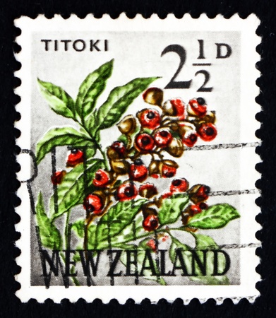 NEW ZEALAND - CIRCA 1961: a stamp printed in the New Zealand shows Titoki Flower, Alectryon Excelsus, Tree, circa 1961のeditorial素材