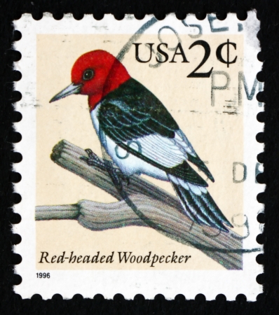 UNITED STATES OF AMERICA - CIRCA 1996: a stamp printed in the USA shows Red-headed Woodpecker, Melanerpes Erythrocephalus, Bird, circa 1996のeditorial素材