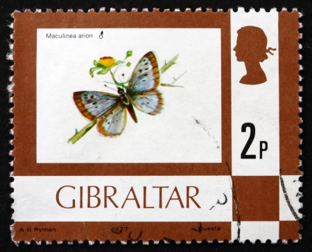GIBRALTAR - CIRCA 1977: a stamp printed in the Gibraltar shows Large Blue, Maculinea Arion, Butterfly, circa 1977のeditorial素材