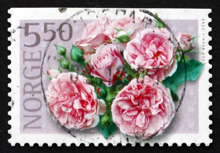 NORWAY - CIRCA 2001 a stamp printed in the Norway shows Pink Roses, Rosa, Flowering Plant, circa 2001のeditorial素材