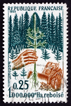 FRANCE - CIRCA 1965: a stamp printed in the France shows Planting Seedling, National Reforestation Campaign, Nature Protection, circa 1965のeditorial素材