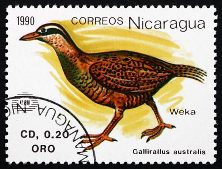 NICARAGUA - CIRCA 1990: a stamp printed in Nicaragua Weka or Woodhen, Gallirallus Australis, Flightless Bird Endemic to New Zealand, circa 1990のeditorial素材