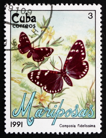 CUBA - CIRCA 1991: a stamp printed in the Cuba shows Faithful Beauty, Composia Fidelissima, Moth, circa 1991のeditorial素材