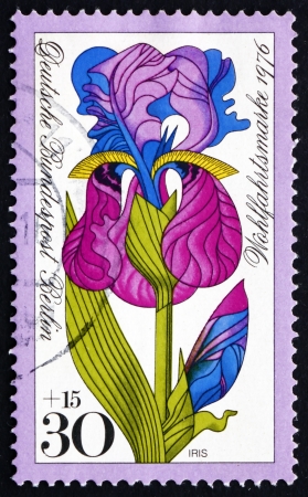 GERMANY - CIRCA 1976: a stamp printed in the Germany, Berlin shows Iris, Flowering Plant, circa 1976のeditorial素材