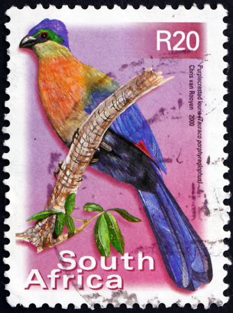 SOUTH AFRICA - CIRCA 2000: a stamp printed in South Africa shows Purple-crested Turaco, Lourie, Tauraco Porphyreolophus, circa 2000のeditorial素材