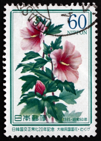JAPAN - CIRCA 1985: a stamp printed in the Japan shows Rose of Sharon, Hibiscus Syriacus, Flowering Schrub, circa 1985のeditorial素材