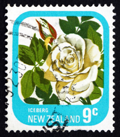 NEW ZEALAND - CIRCA 1976: a stamp printed in the New Zealand shows Iceberg, Rose Flower, Hybrid Tea, circa 1976のeditorial素材