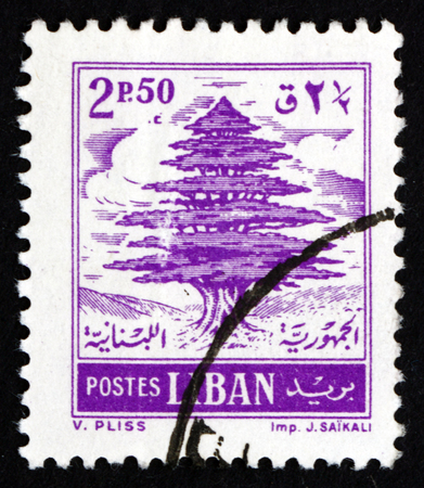 LEBANON - CIRCA 1953: a stamp printed in the Lebanon shows Cedar of Lebanon, National Emblem of Lebanon, circa 1953のeditorial素材