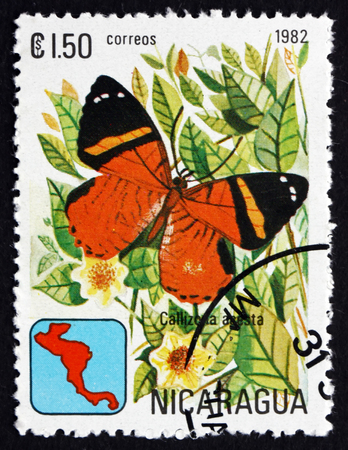 NICARAGUA - CIRCA 1982: a stamp printed in Nicaragua shows Callizona Acesta, Butterfly, circa 1982のeditorial素材