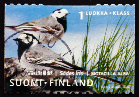 FINLAND - CIRCA 2001: a stamp printed in the Finland shows White Wagtail, Motacilla Alba, Passerine Bird, circa 2001のeditorial素材