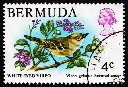 BERMUDA - CIRCA 1978: a stamp printed in Bermuda shows White-eyed Vireo, Vireo Griseus Bermudianus, Songbird, circa 1978のeditorial素材
