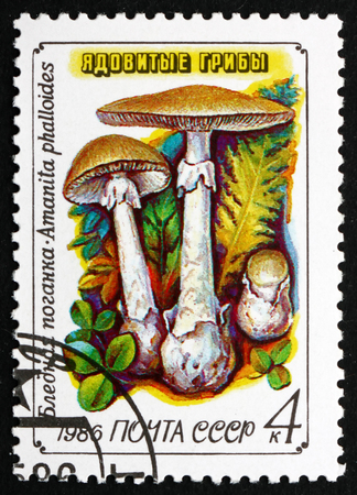 RUSSIA - CIRCA 1986: a stamp printed in the Russia shows Death Cap, Amanita Phalloides, Deadly Poisonous Mushroom, circa 1986のeditorial素材