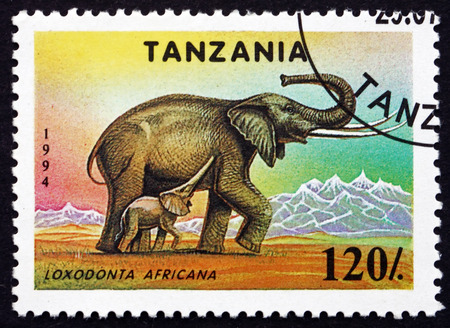 TANZANIA - CIRCA 1994: a stamp printed in Tanzania shows African Elephant, Loxodonta Africana, Animal, circa 1994のeditorial素材