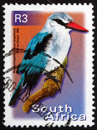 SOUTH AFRICA - CIRCA 2000: a stamp printed in South Africa shows Woodland Kingfisher, Halcyon Senegalensis, Tree Kingfisher, Bird, circa 2000のeditorial素材