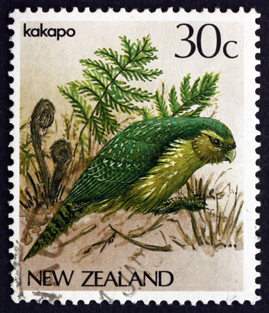 NEW ZEALAND - CIRCA 1986: a stamp printed in the New Zealand shows Kakapo, Owl Parrot, Strigops Habroptilus, is a Species of Large Flightless, Ground-dwelling Parrot, Endemic to New Zealand, circa 1986のeditorial素材
