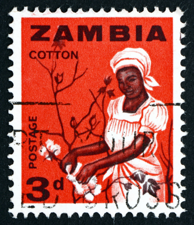 ZAMBIA - CIRCA 1964: a stamp printed in Zambia shows Woman Picking Cotton, circa 1964のeditorial素材
