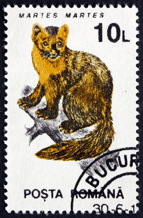 ROMANIA - CIRCA 1993: a stamp printed in the Romania shows Pine Marten, Martes Martes, Animal, circa 1993のeditorial素材