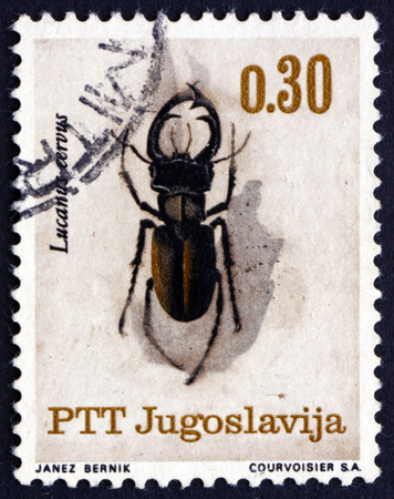 YUGOSLAVIA - CIRCA 1966: a stamp printed in the Yugoslavia shows Stag Beetle, Lucanus Cervus, Insect, circa 1966のeditorial素材