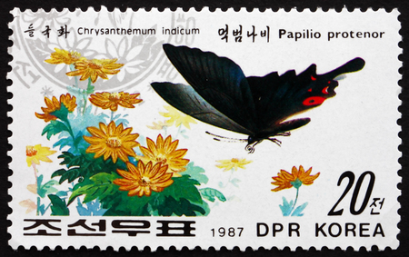 NORTH KOREA - CIRCA 1987: a stamp printed in North Korea shows Papilio Protenor and Chrysanthemum, Butterfly and Flower, circa 1987のeditorial素材
