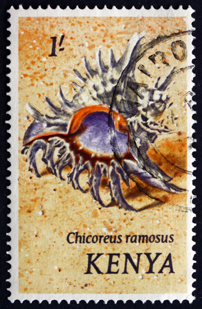 KENYA - CIRCA 1983: a stamp printed in Kenya shows Ramose Murex, Chicoreus Ramosus, Predatory Sea Snail, circa 1983のeditorial素材