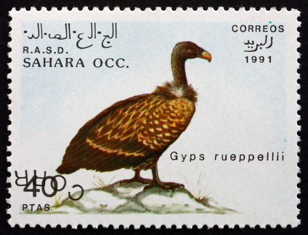 SAHARA - CIRCA 1991: a stamp printed in Sahrawi Arab Democratic Republic shows Ruppells Vulture, Gyps Rueppellii, Bird, circa 1991のeditorial素材