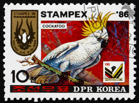 NORTH KOREA - CIRCA 1986: a stamp printed in North Korea shows Cockatoo, Stamp Exhibition, Adelaide, circa 1986のeditorial素材