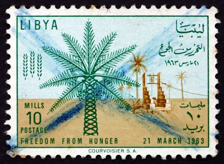 LIBYA - CIRCA 1963: a stamp printed in Libya shows Date Palm and Well, FAO Freedom from Hunger Campaign, circa 1963のeditorial素材