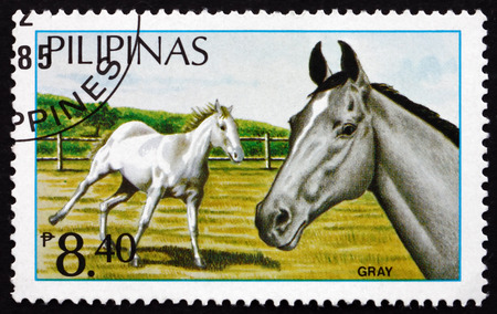 PHILIPPINES - CIRCA 1984: a stamp printed in Philippines shows Gray, Philippine Horses, circa 1984のeditorial素材