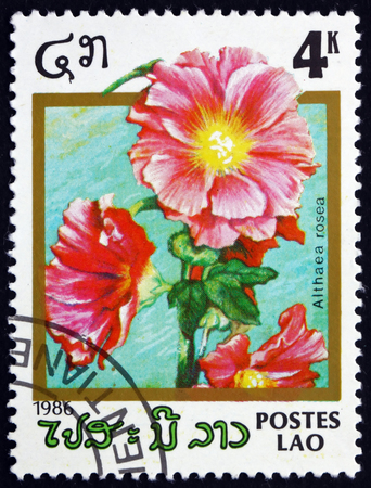 LAOS - CIRCA 1986: a stamp printed in Laos shows Hollyhock, Alcea Rosea, Ornamental Plant, circa 1986のeditorial素材