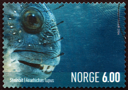 NORWAY - CIRCA 2004: a stamp printed in the Norway shows Atlantic Wolffish, Anarhichas Lupus, Fish, Marine Life, circa 2004のeditorial素材