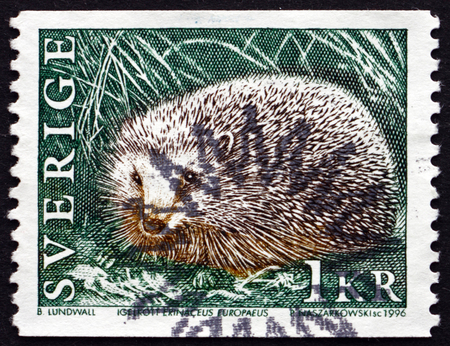SWEDEN - CIRCA 1996: a stamp printed in the Sweden shows European Hedgehog, Erinaceus Europaeus, Wild Animal, circa 1996のeditorial素材