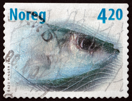 NORWAY - CIRCA 2000: a stamp printed in the Norway shows Atlantic Herring in a Fishing Net, Clupea Harengus, Forage Fish, circa 2000のeditorial素材