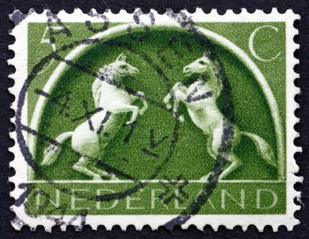 NETHERLANDS - CIRCA 1965: a stamp printed in the Netherlands shows Rearing White Horses, circa 1965のeditorial素材
