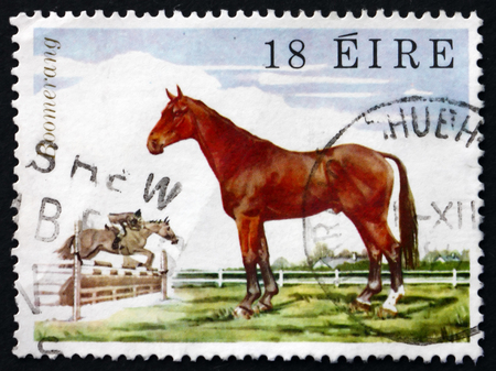 IRELAND - CIRCA 1981: A stamp printed in Ireland shows Show-jumper Boomerang, Famous Horse, circa 1981のeditorial素材