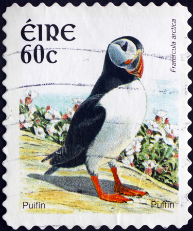 IRELAND - CIRCA 2004: a stamp printed in Ireland shows Puffin, Fratercula Arctica, Seabird, circa 2004のeditorial素材