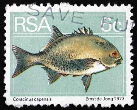 SOUTH AFRICA - CIRCA 1974: a stamp printed in South Africa shows Galjoen, Coracinus Capensis, Marine...