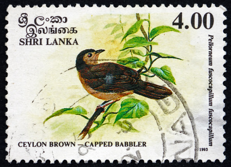 SRI LANKA - CIRCA 1993: a stamp printed in Sri Lanka shows Brown-capped Babbler, Pellorneum Fuscocapillus, is an Endemic Resident Breeding Bird in Sri Lanka, circa 1993のeditorial素材