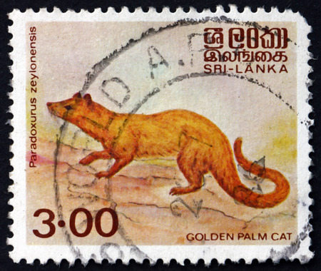 SRI LANKA - CIRCA 1983: a stamp printed in Sri Lanka shows Golden Palm Civet, Paradoxurus Zeylonensis, is a Palm Civet Endemic to Sri Lanka, circa 1983のeditorial素材